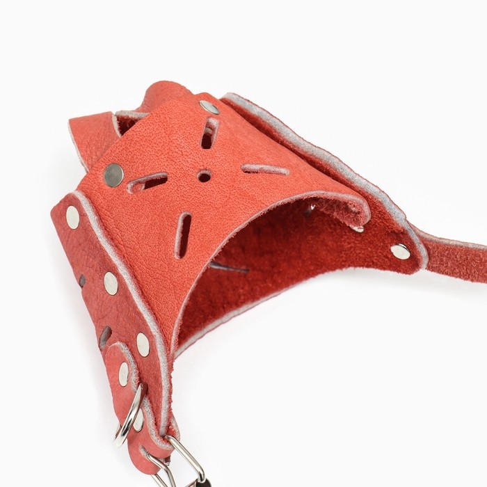 Намордник регулируемый из мягкой кожи, размер № 2, ДН 5-6 см, ОМ 15-19 см, коричневый Намордник регулируемый из мягкой кожи, размер № 2, ДН 5-6 см, ОМ 15-19 см, коричневый