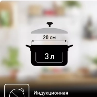 Кастрюля с крышкой Primary 20 см, 3 л