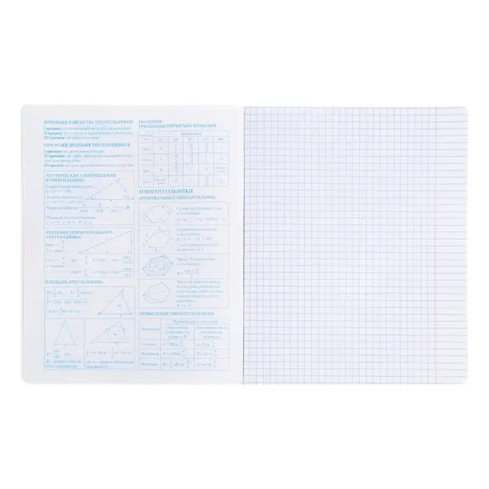 Тетрадь предметная 48 листов в клетку &laquo;Аниме. Геометрия&raquo;, обложка мелованный картон, УФ-лак, блок офсет