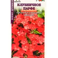 Семена Флокс Клубничное Парфе /Сотка/ 0,1 г /*1500