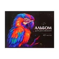 Альбом для рисования Calligrata, А4, 40 листов на скрепке, МИКС
