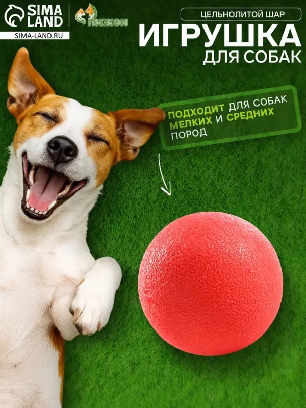 Игрушка для собак &laquo;Цельнолитой шар&raquo;, большая, 5 см, каучук, красная