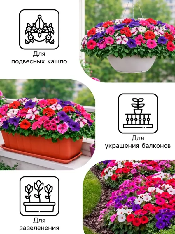 Семена цветов Петуния &laquo;Гибридная смесь&raquo;, 0.05 г, &laquo;Рецепты дедушки Никиты&raquo;