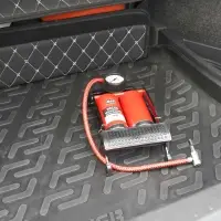 Насос механический двухцилиндровый AVS FP02