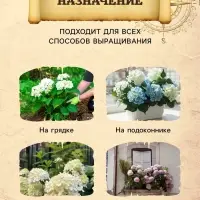 Грунт для Азалий, Рододендронов, Гортензий PETER PEAT, линия &laquo;Хобби&raquo;, 5 л