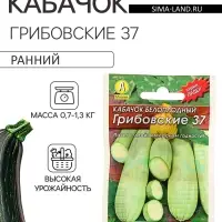 Семена Кабачок белоплодный &laquo;Грибовские 37&raquo;, 8 шт., &laquo;Аэлита&raquo;