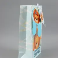 Пакет подарочный с местом под носочки &laquo;С рождением сыночка&raquo;, 28.3&times;10.4&times;39 см