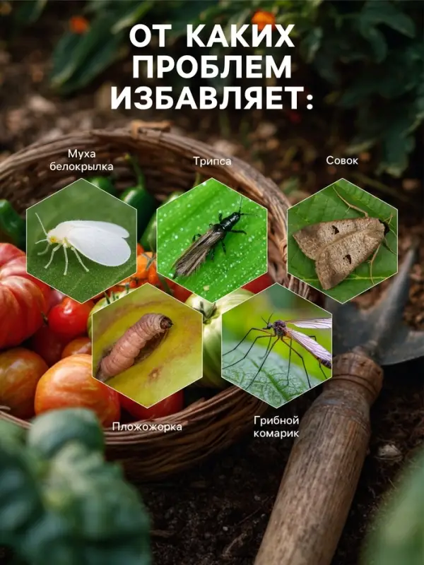 Средство от насекомых и вредителей &laquo;Боверин&raquo;, 50 г