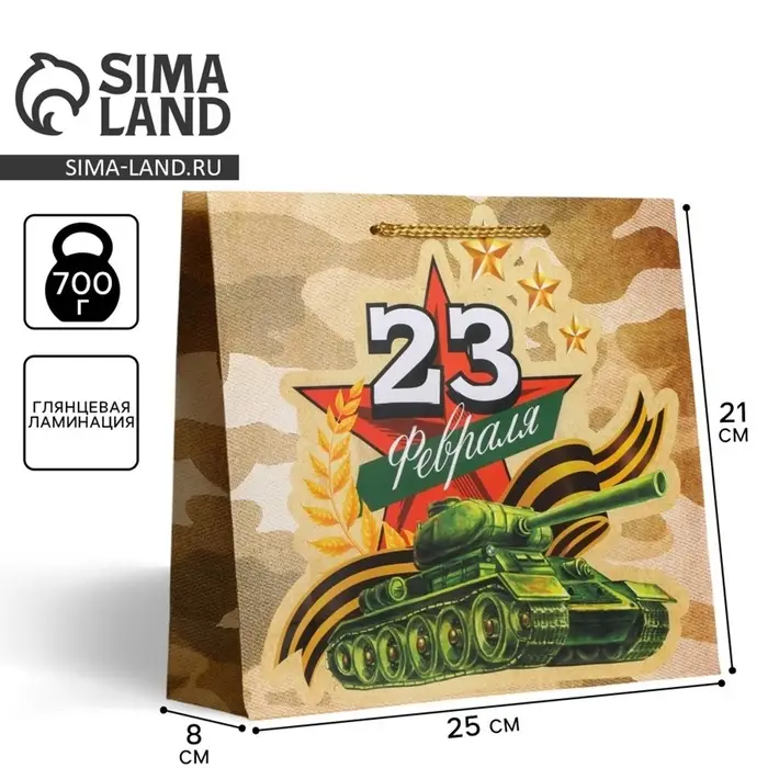 Пакет подарочный ламинированный, упаковка, &laquo;С 23 февраля&raquo;, ML 25&times;21&times;8 см