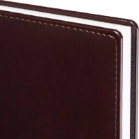 Ежедневник недатированный бордо,А5,142х210мм,176л,ATTACHE Каньон