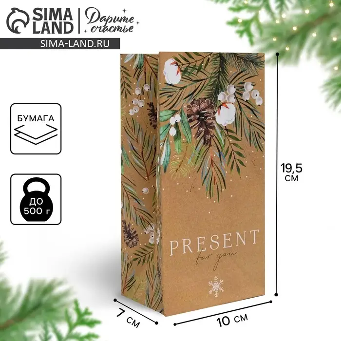 Пакет без ручек «Present for you», 10 х 19.3 х 7 см Пакет без ручек «Present for you», 10 х 19.3 х 7 см