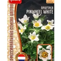 Семена цветов Прострел Pinwheel White 3шт.  12.29 г.