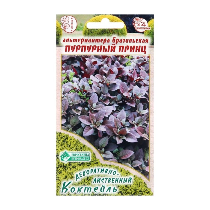 Семена цветов Альтернантера бразильская Семена цветов Альтернантера бразильская "Пурпурный Принц", 3 шт