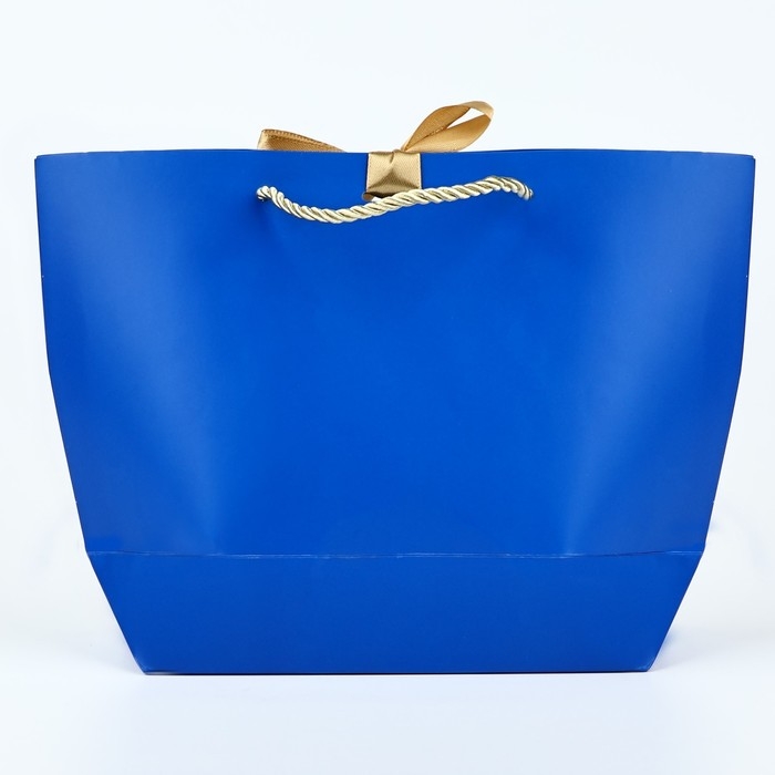 Пакет подарочный новогодний «Благополучия в Новом году», 19 х 20 х 9 см, Новый год Пакет подарочный новогодний «Благополучия в Новом году», 19 х 20 х 9 см, Новый год