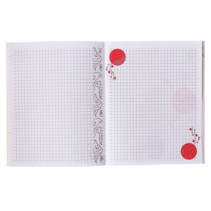 Тетрадь 48 листов в клетку Calligrata TOP "Аниме. Парень и небо", обложка мелованный картон, матовая ламиниция, выборочный УФ-лак, дизайн внутреннего блока, офсет