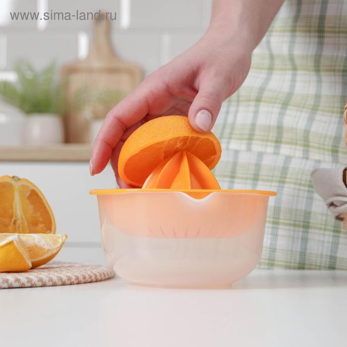 Соковыжималка для цитрусовых «Мадена», 300 мл, цвет МИКС Соковыжималка для цитрусовых «Мадена», 300 мл, цвет МИКС