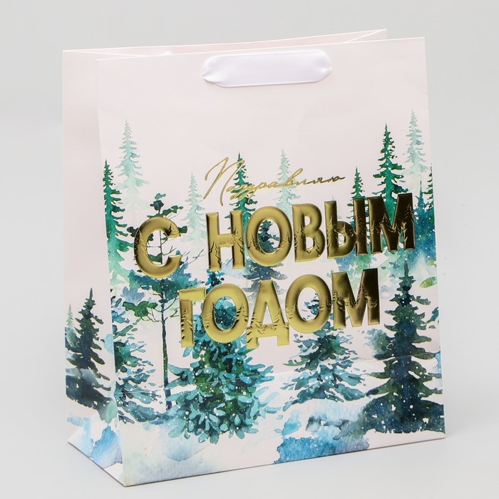 Пакет подарочный новогодний ламинированный вертикальный, конгревное тиснение «С Новым годом», ML 23 х 27 х 11.5 см, Новый год Пакет подарочный новогодний ламинированный вертикальный, конгревное тиснение «С Новым годом», ML 23 х 27 х 11.5 см, Новый год