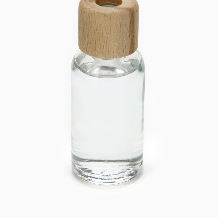 Диффузор ароматический палочки, ароматизатор для дома «Аромадиффузор: Окружи себя заботой», аромат яблоко, 30 мл.