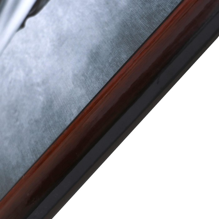 Картина  Картина "Девушка и леопард" 56х106см рамка микс