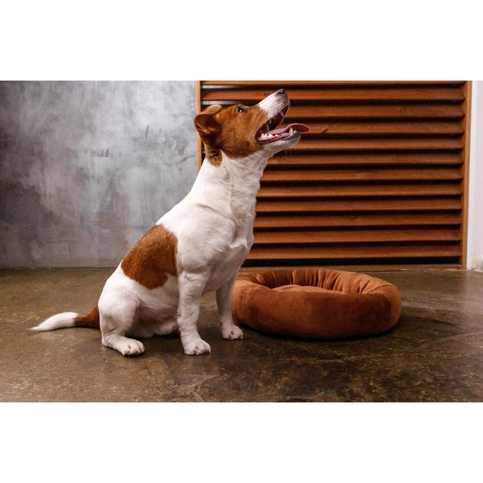 Лежанка с косточкой, 45х35х11 см, коричневая Лежанка с косточкой, 45х35х11 см, коричневая