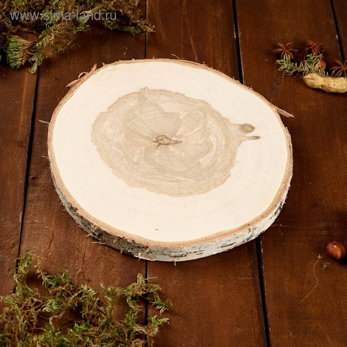 Спил берёзы, шлифованный с одной стороны, диаметр 18-22 см Спил берёзы, шлифованный с одной стороны, диаметр 18-22 см