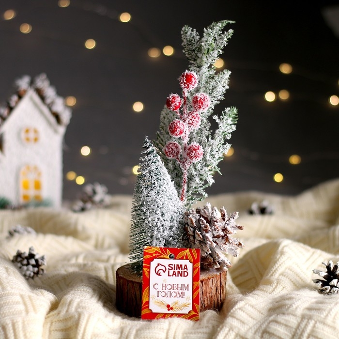 Новогодняя композиция «Ёлочка с веточками и шишкой» 13 × 13 × 26 см Новогодняя композиция «Ёлочка с веточками и шишкой» 13 × 13 × 26 см