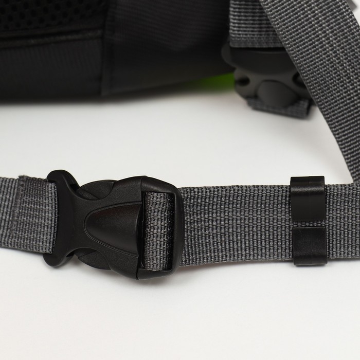 Рюкзак-переноска для кошек и собак, максимальный вес 10 кг, 30 х 16 х 34 см, зелёный Рюкзак-переноска для кошек и собак, максимальный вес 10 кг, 30 х 16 х 34 см, зелёный