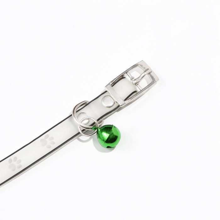 Ошейник Ошейник "Лапки", 28 х 1 см, ОШ 18-24 см, прозрачный/белый