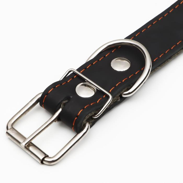 Ошейник комбинированный кожа/брезент, 69 х 3,5 см, украшенный, ОШ 45-60 см, чёрный Ошейник комбинированный кожа/брезент, 69 х 3,5 см, украшенный, ОШ 45-60 см, чёрный