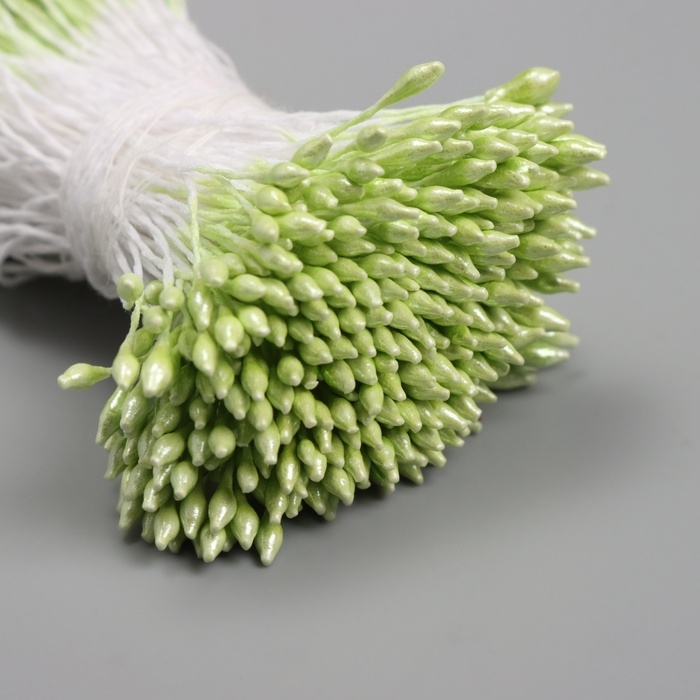 Тычинки для искусственных цветов глянец "Рисинки" светло-зелёный набор 360 шт длина 6 см