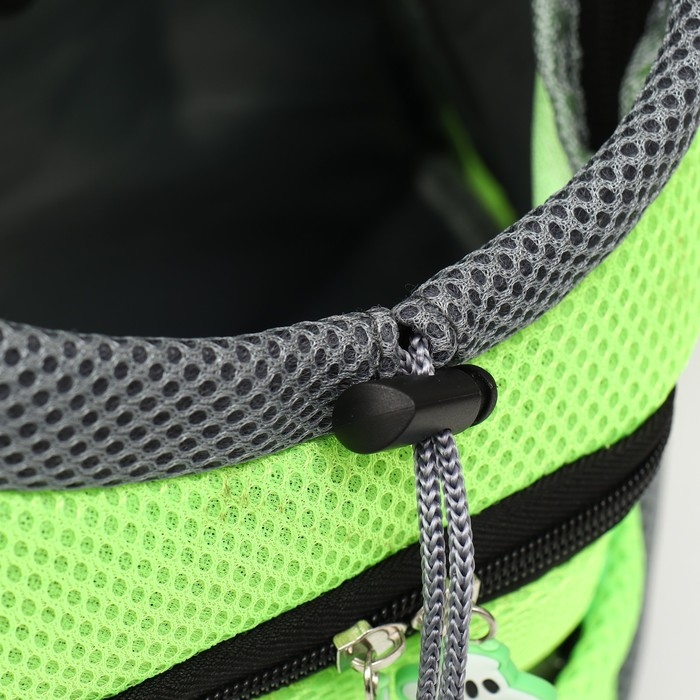 Рюкзак-переноска для кошек и собак, максимальный вес 10 кг, 30 х 16 х 34 см, зелёный Рюкзак-переноска для кошек и собак, максимальный вес 10 кг, 30 х 16 х 34 см, зелёный