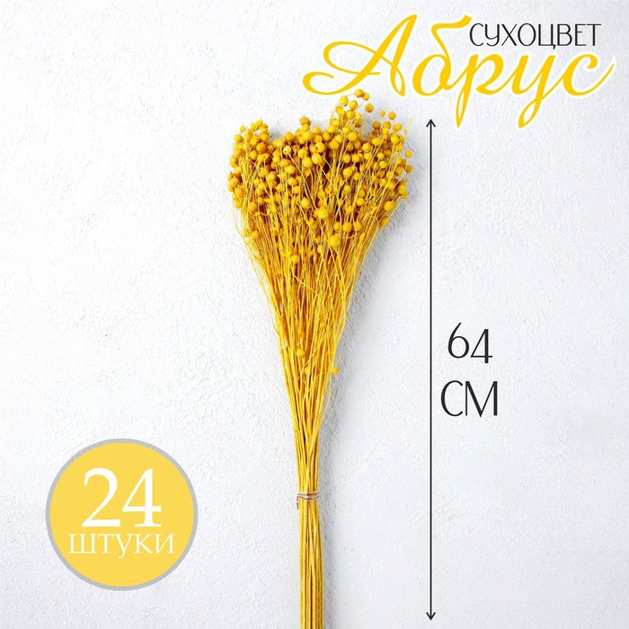 Сухоцвет «Абрус» набор 24 шт, цвет желтый Сухоцвет «Абрус» набор 24 шт, цвет желтый