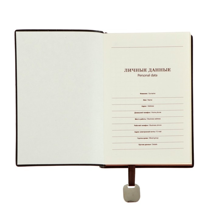 Ежедневник недатированный А6, 116 листов в клетку, обложка ПВХ, тонированный срез, обложка ЛАЙТ, МИКС Ежедневник недатированный А6, 116 листов в клетку, обложка ПВХ, тонированный срез, обложка ЛАЙТ, МИКС