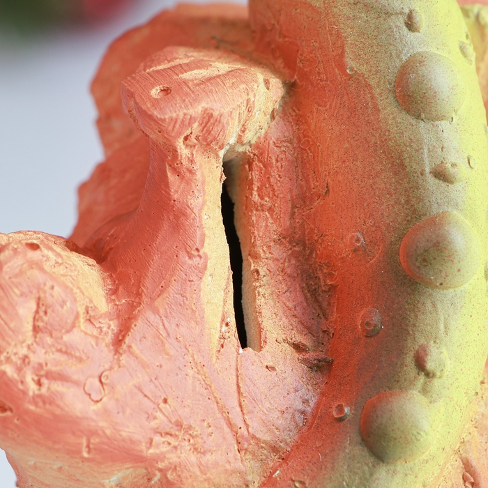 Новый год. Символ 2025. Копилка Новый год. Символ 2025. Копилка "Змея на ветке" 10х10х16см