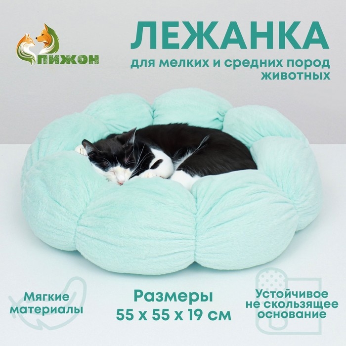 Лежанка для животных  Лежанка для животных "Облако", 55 см, бело-мятная