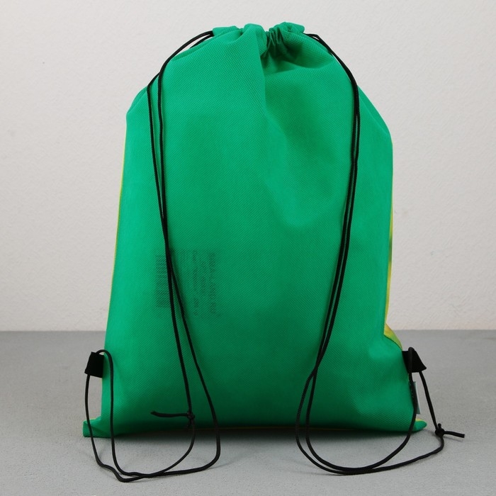 Мешок для обуви «Милый щенок» нетканное полотно, размер 30 х 40 см Мешок для обуви «Милый щенок» нетканное полотно, размер 30 х 40 см