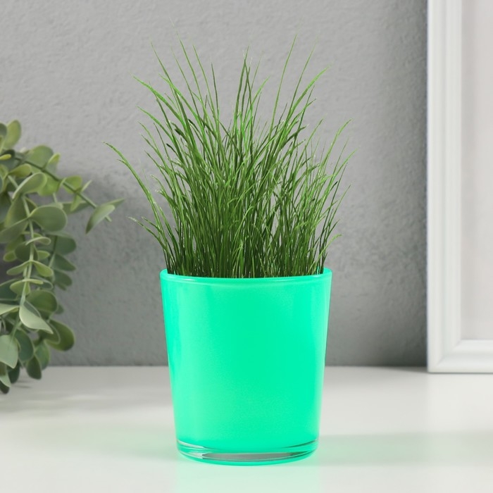 Набор для выращивания растений Набор для выращивания растений "Вырасти травку" зеленый