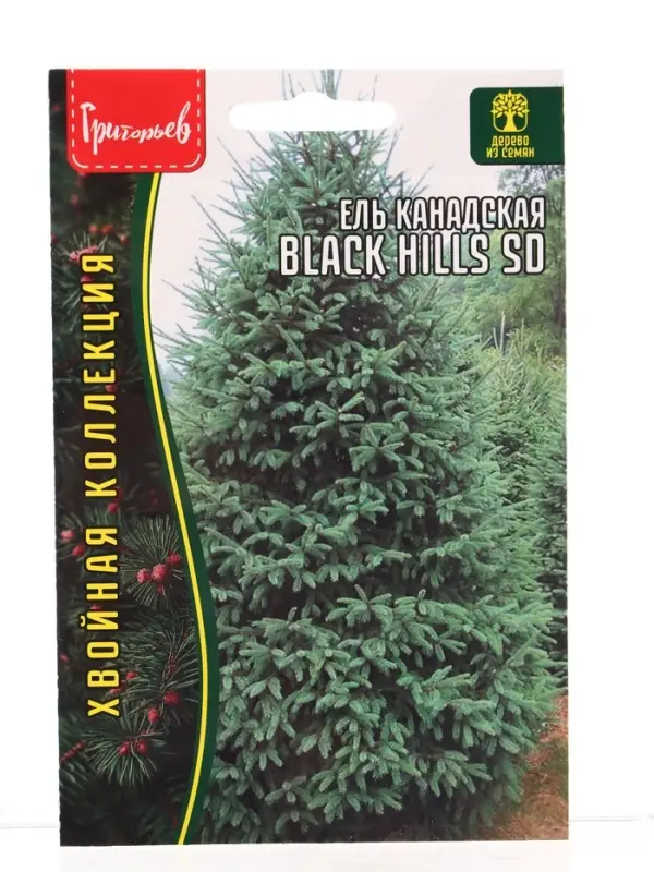 Семена цветов Ель Black Hills SD канадская  10шт.  12.29 г.