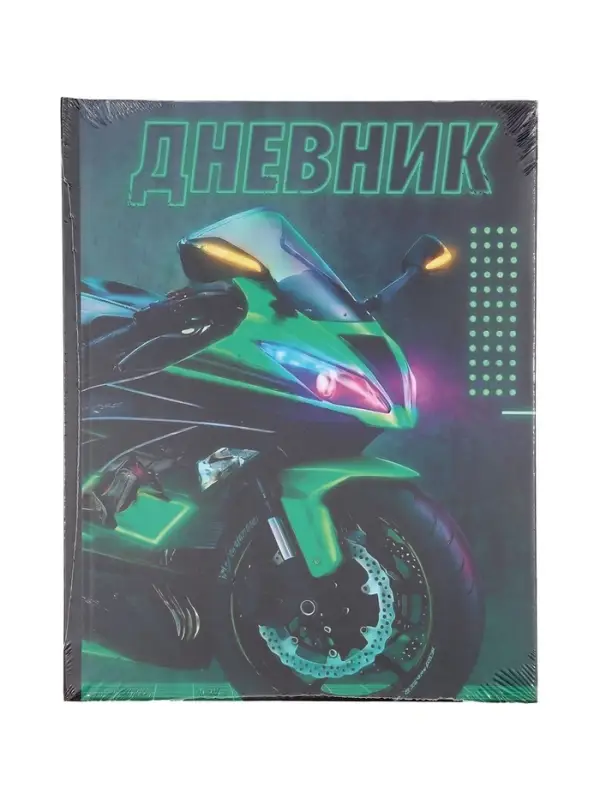 Дневник школьный для 1-4 классов, &laquo;Байк&raquo;, твёрдая обложка 7БЦ, матовая ламинация, 48 листов