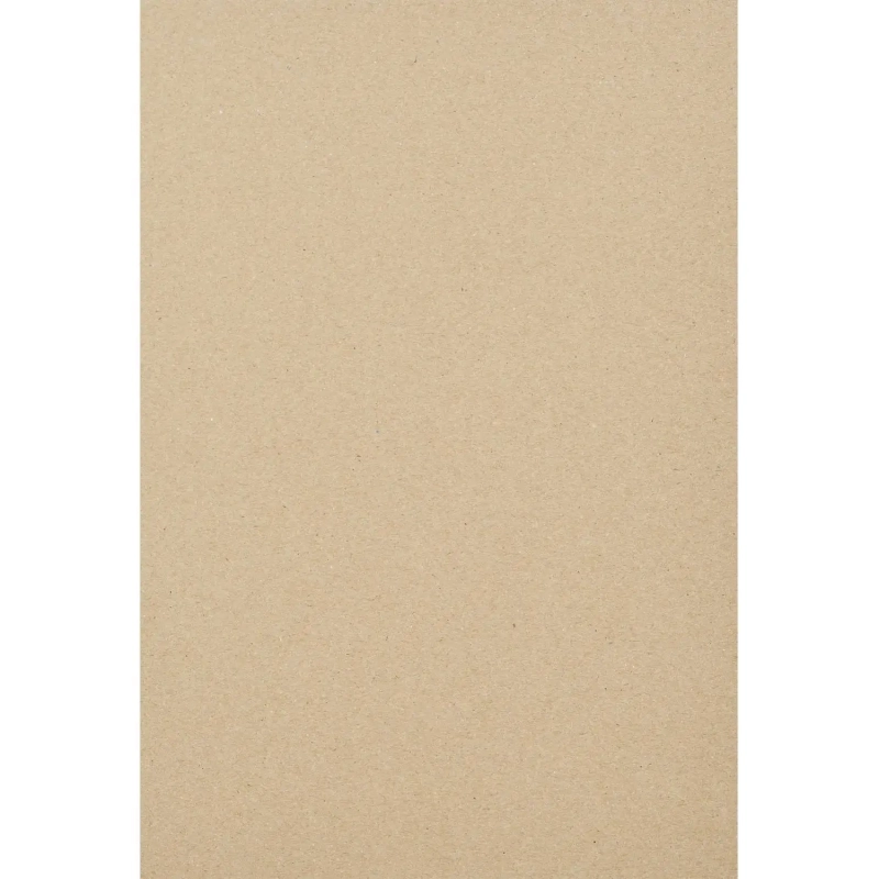 Картон белый Выбор есть Отличник 24л А4 немелован.пакет