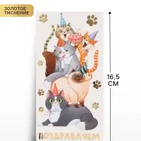 Конверт для денег &laquo;Поздравляю&raquo;, коты, тиснение, 16.5&times;8 см