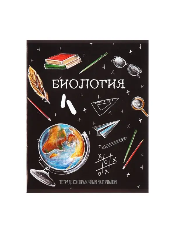 Тетради предметные Calligrata &laquo;Доска&raquo;, 12 предметов, 48 листов, со справочным материалом, обложка из мелованного картона
