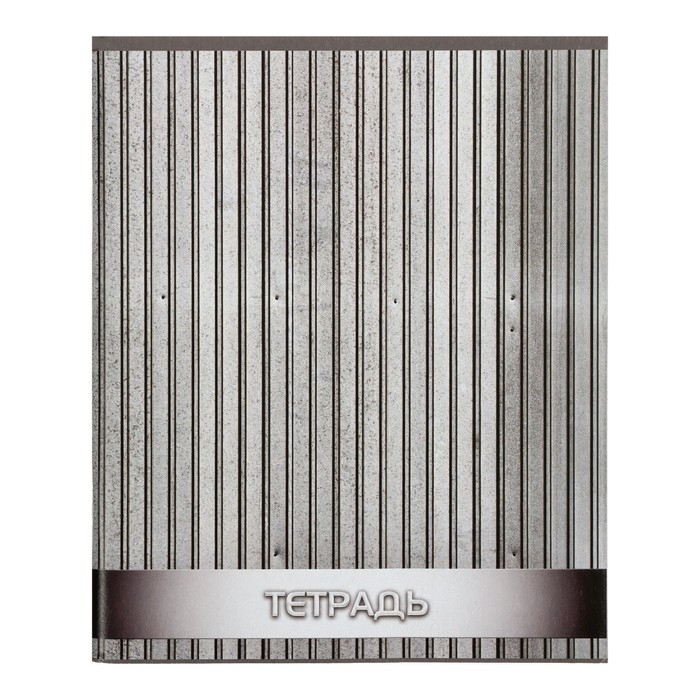 Комплект тетрадей из 4 штук, 96 листов в клетку Calligrata Комплект тетрадей из 4 штук, 96 листов в клетку Calligrata "Металл", обложка мелованный картон, блок офсет