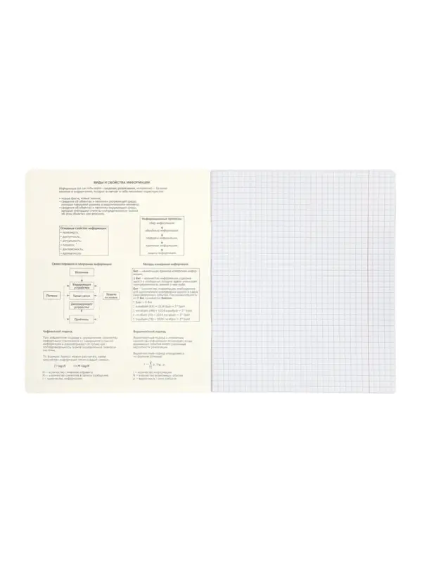 Комплект 12 предметных тетрадей 48 листов, справочная информация, 60гр, Стиль 2026