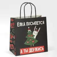 Пакет подарочный новогодний «А ты держись», 22 х 22 х 11 см Пакет подарочный новогодний «А ты держись», 22 х 22 х 11 см