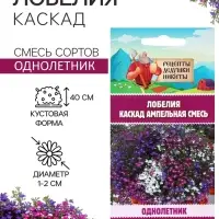 Семена цветов Лобелия &laquo;Каскад&raquo;, ампельная, смесь 0.01 г, &laquo;Рецепты дедушки Никиты&raquo;
