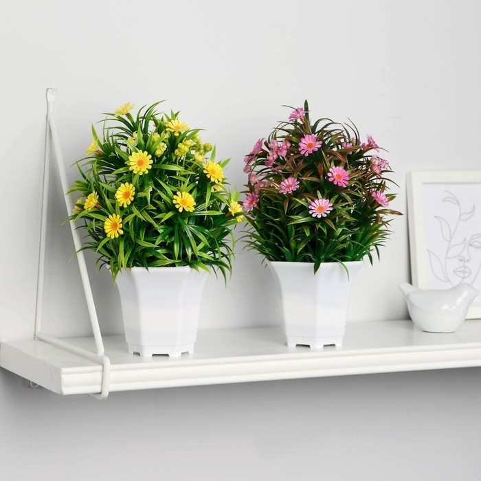 Бонсай в горшке Бонсай в горшке "Ромашка нивяник" 11х22 см, микс