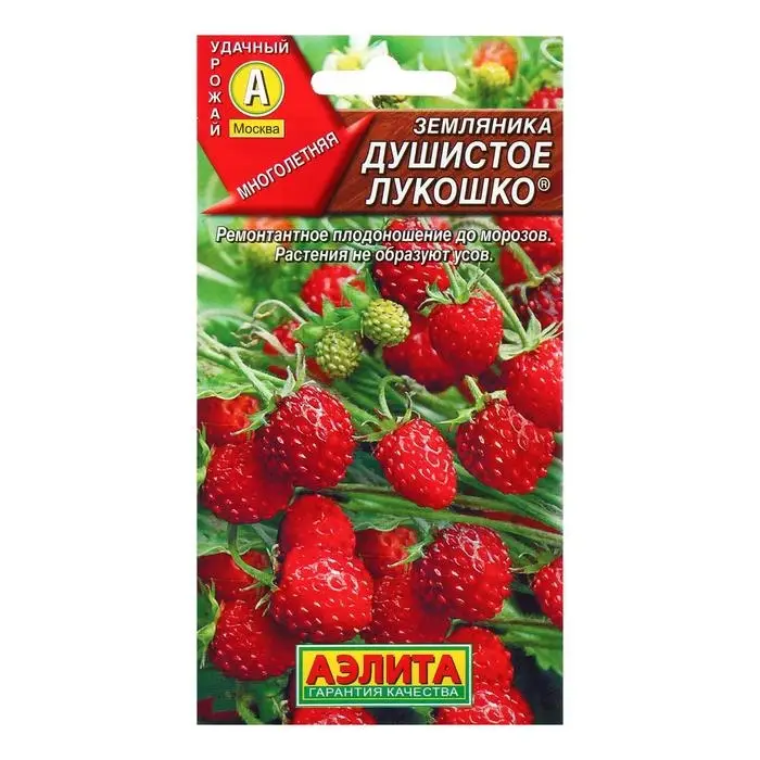 Семена  Земляника  Семена  Земляника "Душистое лукошко" альпийская, 0,04 г