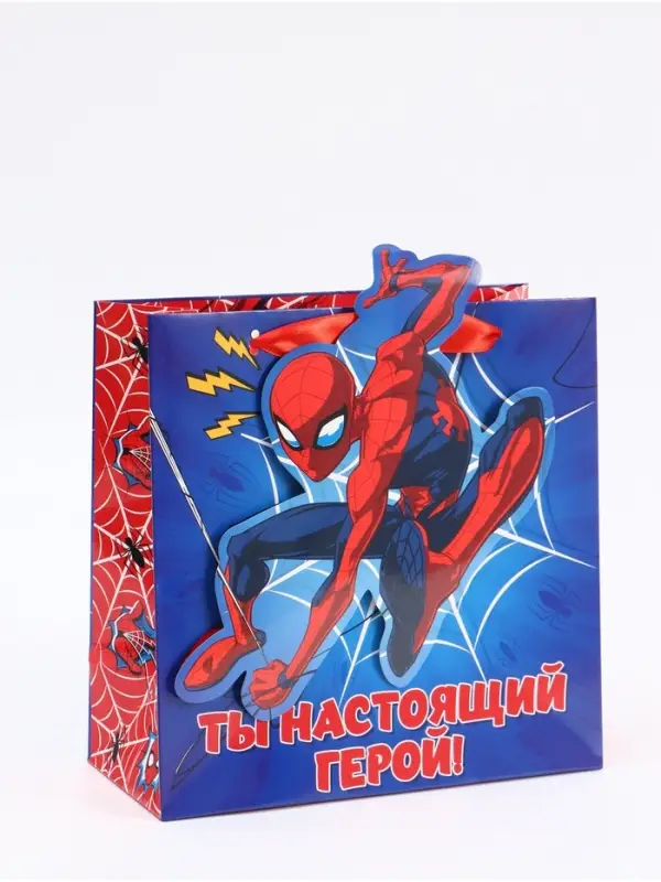 Пакет подарочный &laquo;Супергерой&raquo;, 22 &times; 22 &times; 10 см
