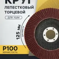 Круг лепестковый торцевой ТУНДРА, 125&times;22 мм, Р100